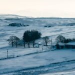 Todos los daños provocados en el campo por el paso de la borrasca Filomena están cubiertos por el seguro agrario