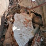 El temporal Filomena no solo pasó por Madrid: Daños en la ganadería, en olivares y en cultivos de media España y ya se teme al hielo