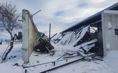 El Gobierno aprueba un primer paquete de ayudas a los damnificados por el temporal «Filomena»