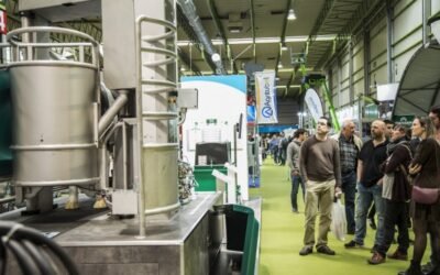 Figan 2021 obtiene el máximo reconocimiento de internacionalidad