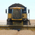 Sigue la fuerte tendencia alcista en los cereales y la duda es dónde está el techo tras marcar máximos de los últimos 7 años