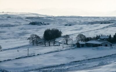 Importantes alzas de precios en origen en algunas hortícolas por la menor oferta a causa de “Filomena”