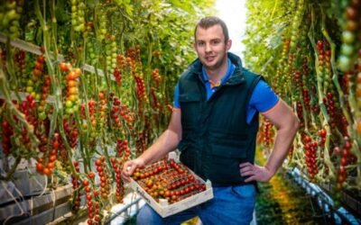 Basf inicia el proceso de registro de su nuevo insecticida Axalion