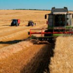 Extremadura destina en torno a 200.000 hectáreas a cereal de invierno, una cifra similar a la pasada campaña