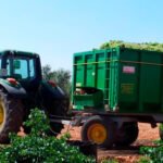 El hundimiento del sector vitivinícola ante la tormenta perfecta: Mucha producción, poca exportación y caída del consumo por el covid