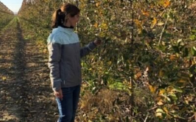 El MAPA observa ligeros avances en la concesión de las ayudas directas de la PAC a jóvenes y mujeres