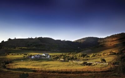 Unión de Uniones lamenta el recorte de los límites máximos presupuestarios de la ayudas directas de la PAC 2021 y 2022