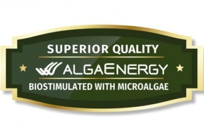 AlgaEnergy desarrolla un sello que certifica la máxima calidad de los productos finales