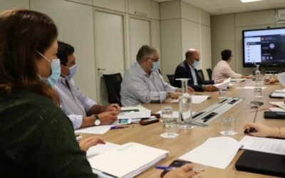 Andalucía rechaza la propuesta de convergencia “brusca” y “acelerada” de las ayudas de la PAC transitoria 2021-22