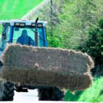 El Plan del Gobierno para la PAC: 14 ó 15 regiones, sin PDR autonómicos y el mismo tipo de ayuda de renta básica en todas las CCAA