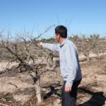 Publicado el Estudio sobre el Acceso a la Tierra, que será la base para impulsar el relevo generacional en la reforma de la PAC