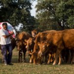 Temor a que los pastos y la ganadería extensiva vayan a servir de nuevo de moneda de cambio en la negociación de la PAC