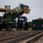 La prioridad de la UE es cerrar la PAC para abril, apostando por una agricultura ecológica con compensaciones a los agricultores