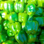 Phytoma presenta el programa científico-técnico de su Encuentro Virtual 25 años de control biológico en el cultivo del pimiento