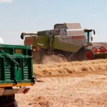 Los precios de los cereales en los mercados mayoristas siguen disparados con subidas de 10€ en el maíz o 13 en el trigo duro