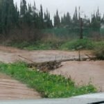 Sabor agridulce de ‘Filomena’ en Cádiz: Deja agua muy necesaria para el campo,  pero inunda los cultivos de Chipiona