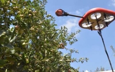 Kubota invierte en el desarrollo de drones autónomos para la recolección de frutas de Tevel