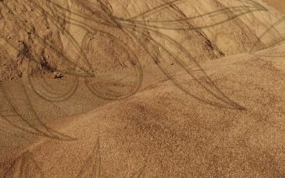 Una técnica recupera más del 80% del azúcar que contiene el hueso de aceituna