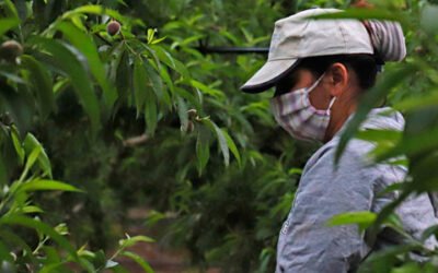 Agroexpo analizará el papel de la mujer en el sector agrario