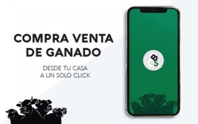 B&SApp, la nueva aplicación para la compraventa de ganado online