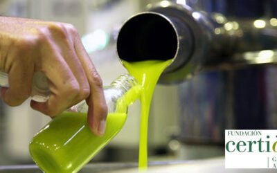 Certióleo realizará el control de la calidad diferenciada de la provincia de Jaén