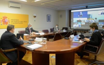 Consejo de Ministros UE: España pide compensaciones si no hay un levantamiento inmediato de los aranceles