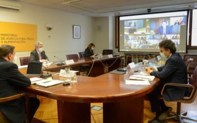 Junta de Andalucía y MAPA siguen discrepando por la velocidad en la convergencia interna de ayudas PAC