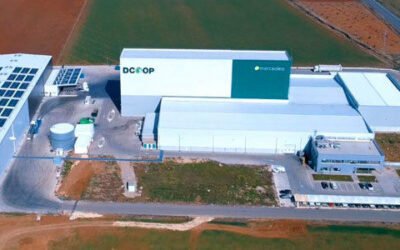 Dcoop, en el Top 300 de las mayores cooperativas del mundo