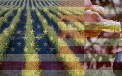 El PP pide a la CE que negocie con EEUU una moratoria para los aranceles al aceite de oliva y la aceituna de mesa