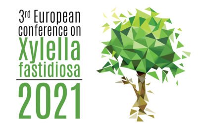 Reunión final del proyecto XF-ACTORS