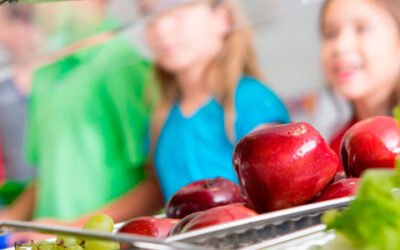 El PP pide al Gobierno una campaña de promoción del aceite de oliva en la restauración colectiva