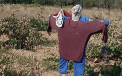 El empleo en la rama de actividad primaria aguantó bien en el último trimestre y en el año 2020