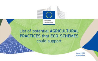La CE publicado un listado de las posibles prácticas agrícolas apoyadas por los eco-esquemas