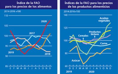 Los precios mundiales de alimentos registra un nuevo máximo en el mes de diciembre