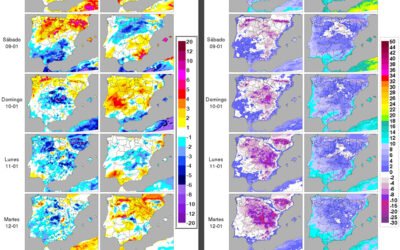El olivar sufre graves daños por la borrasca Filomena
