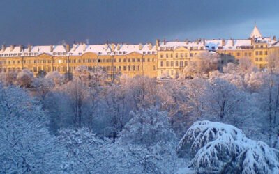 Cómo comercializar tu AOVE ecológico en Alemania, Austria y Suiza