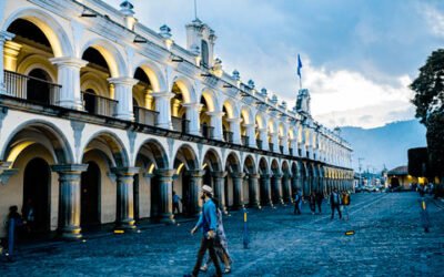 El aceite de oliva español goza de una imagen de calidad y prestigio en Guatemala