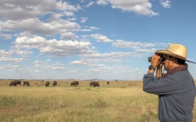 EE.UU. aprueba un paquete de apoyo Covid-19 de 900.000 M$ a sus agricultores. Por Farm Europe.
