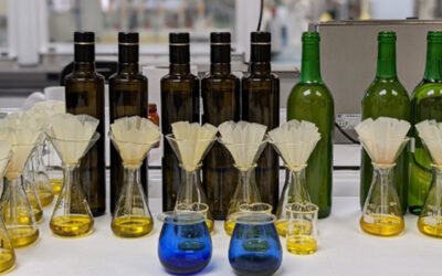 Nuevo reconocimiento del Consejo Oleícola Internacional para el Laboratorio Agroambiental de Aragón