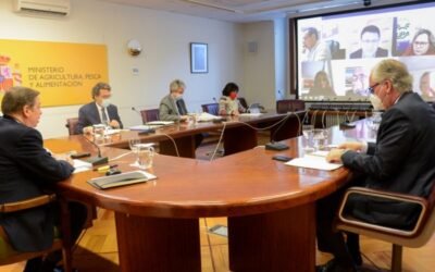 Planas calcula en 600 M€ el impacto positivo de la reducción general del IRPF agrario de 2020