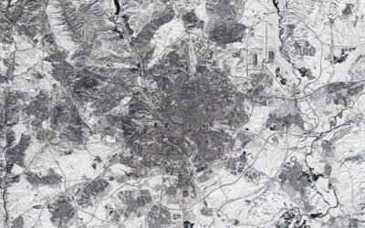 El olivar madrileño sufre importantes pérdidas por los efectos de la borrasca Filomena