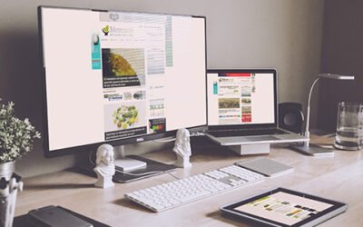 Mercacei.com bate el récord con 31 millones de páginas vistas en 2020