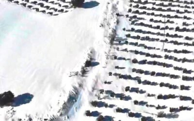 El Gobierno destina ayudas a ocho CCAA para paliar los efectos de la borrasca Filomena