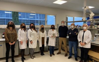 Olivarum recibe el premio Oliva 360