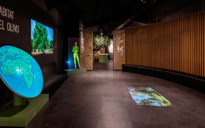 Nace el Centro de Interpretación del Olivar 5 Elementos de Finca La Pontezuela