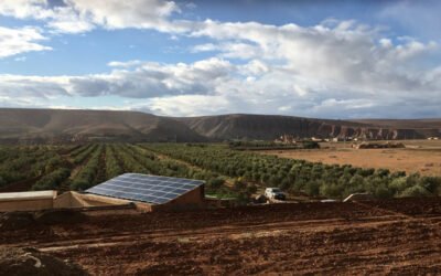 Avanza la aplicación de soluciones tecnológicas sostenibles en el olivar marroquí