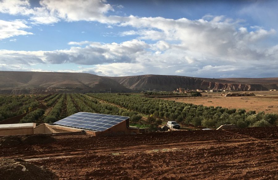 Avanza la aplicación de soluciones tecnológicas sostenibles en el olivar marroquí