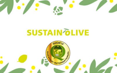 QvExtra! Internacional se une al proyecto Sustainolive