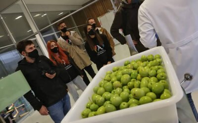 La Academia Vive Andalucía extrae aceite de oliva virgen extra en Terra Oleum