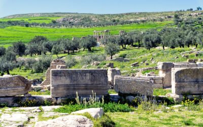 ¿Tiene el Ministerio conocimiento de negociaciones para ampliar los contingentes de aceite para Túnez?